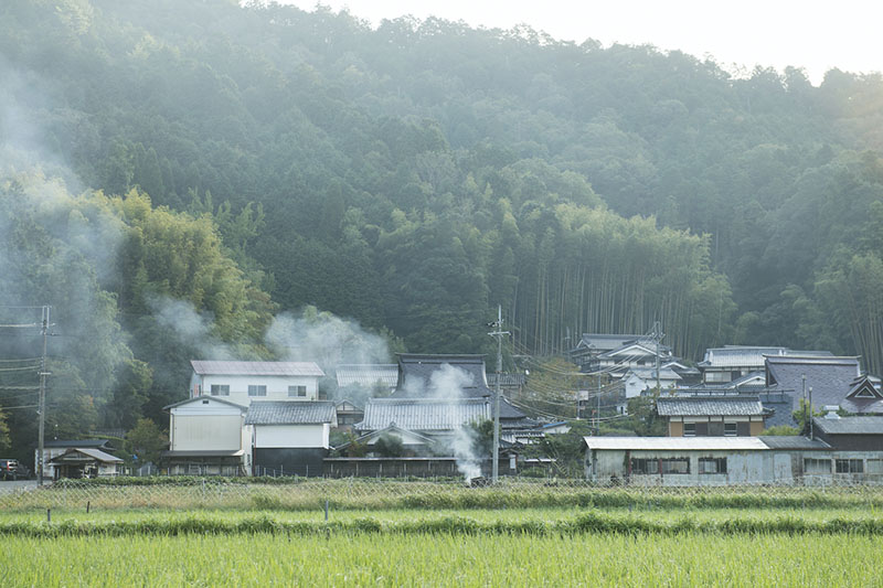 霧の朝 兵庫県丹波篠山市