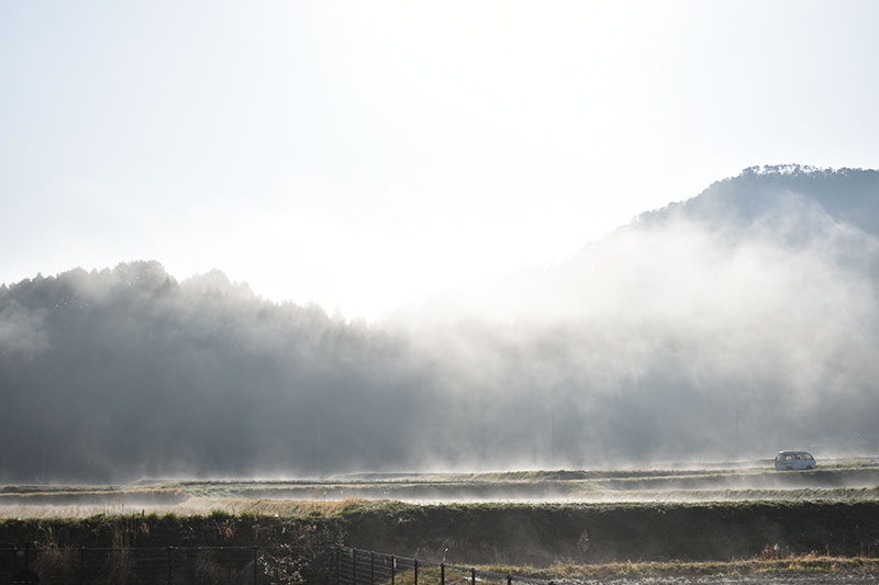 霧の朝 朝霧