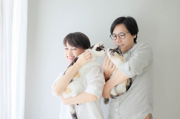 Purrcraft ปลอกคอขวัญใจแมวทั่วเอเชีย