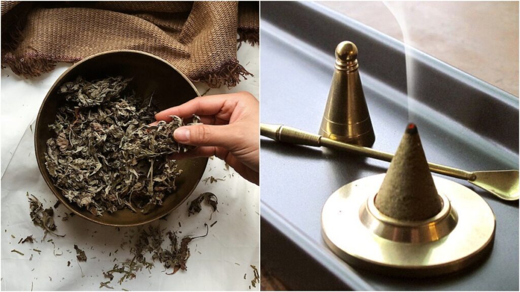 艾草養生近年大受歡迎,到底可以怎樣應用於日常生活當中?