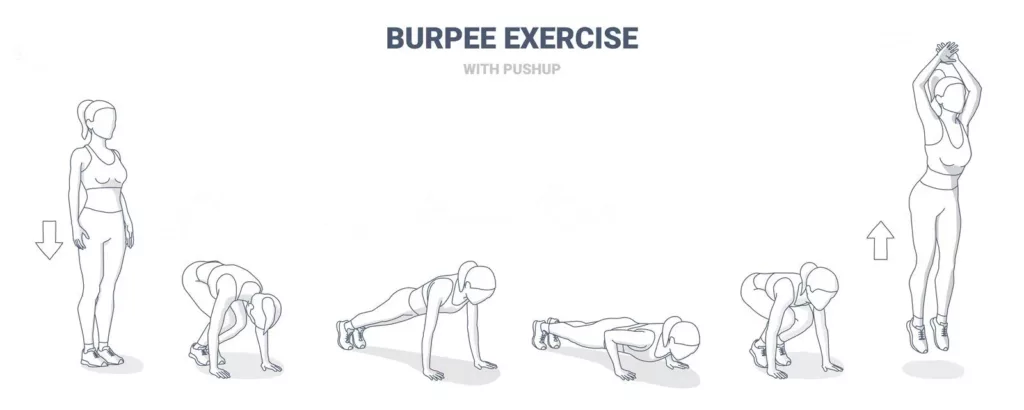 波比跳(Burpee)的基本動作。