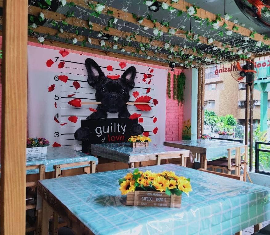 台北寵物友善餐廳推薦:Day Cafe