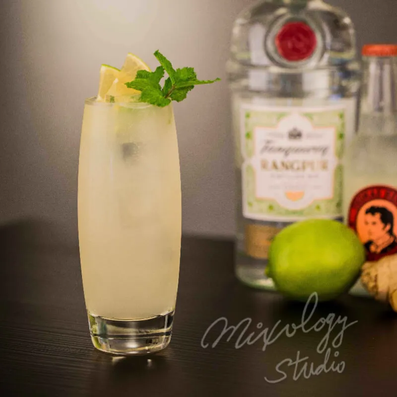 琴琴騾子 Gin Gin Mule