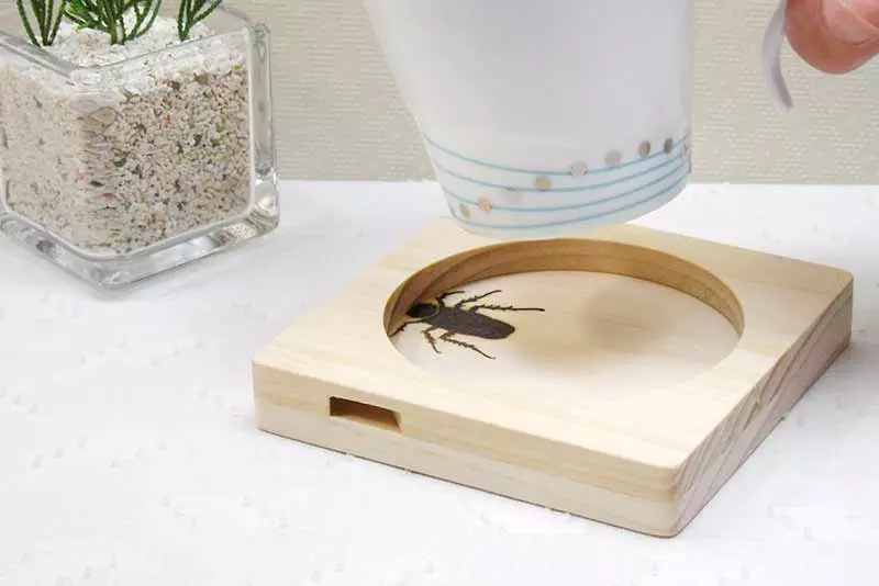 蟑螂杯墊