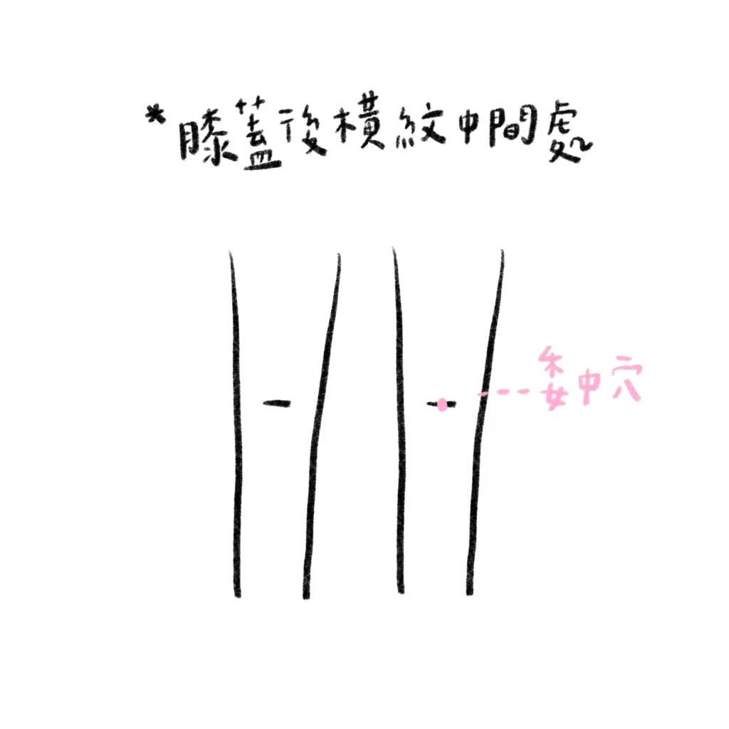 委中穴