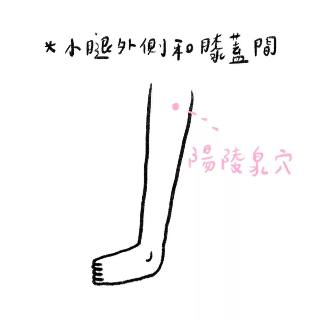 陽陵泉穴