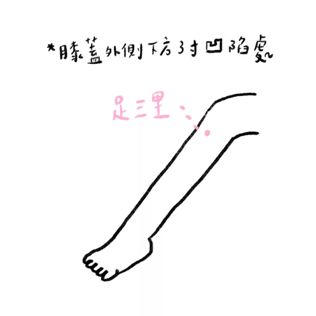 足三里穴