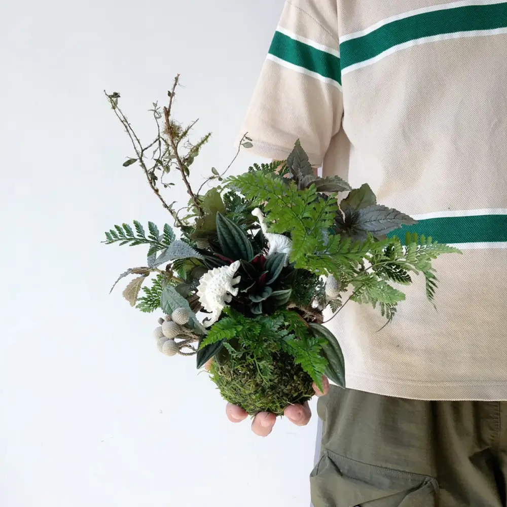 苔球手作體驗