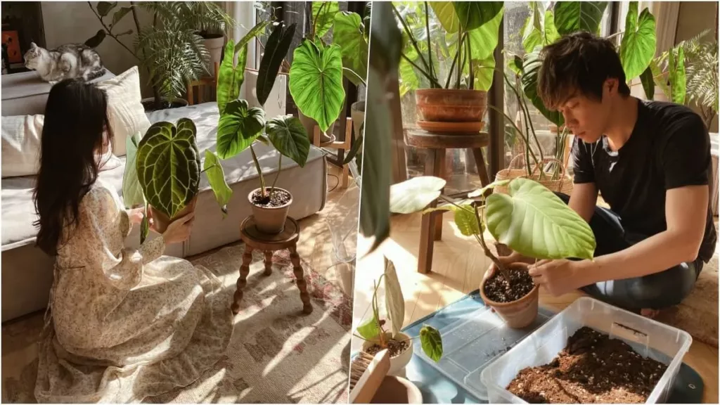 【城市植栽特輯】專訪 Sean&Lo 新手植物日記