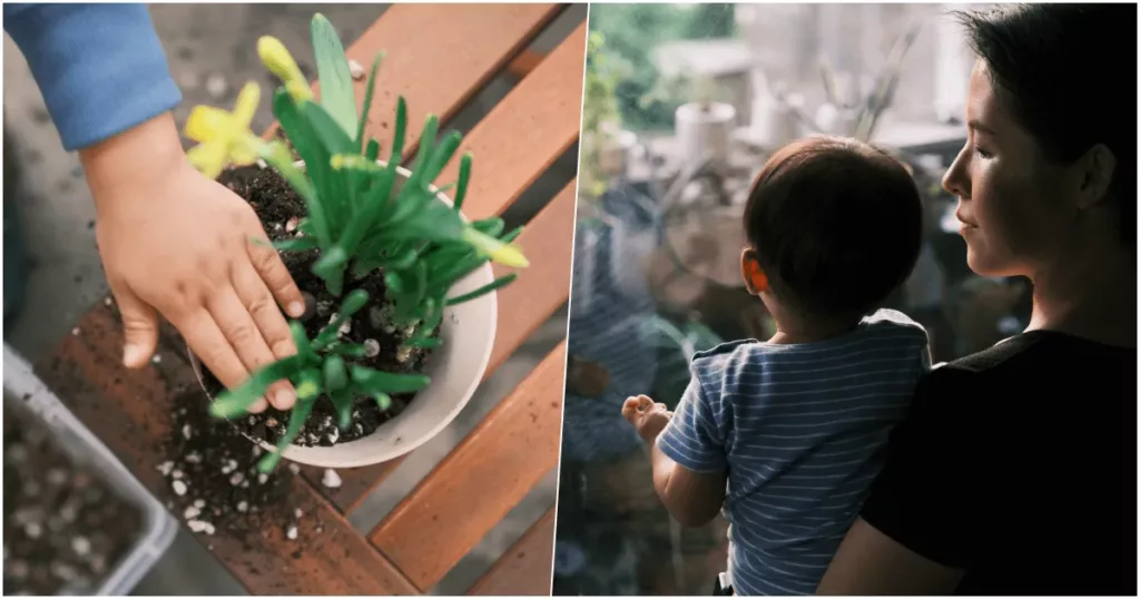 pinkoi 植物盆栽