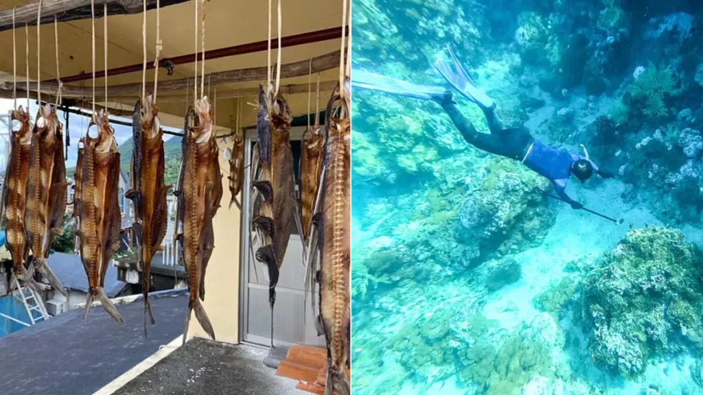 蘭嶼飛魚季行程和活動推薦