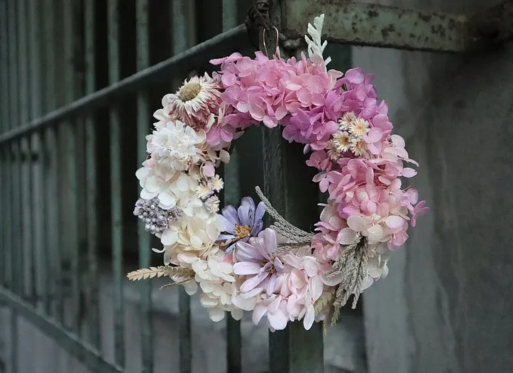 繡球永生花花語:希望永恆